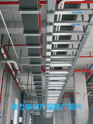 实拍图
